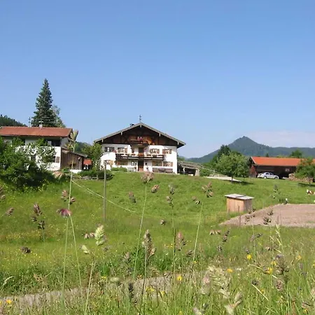 Apartamento Greinhof *
