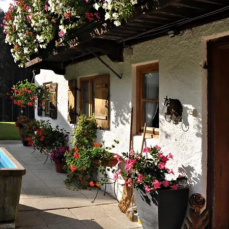 Apartamento Greinhof *