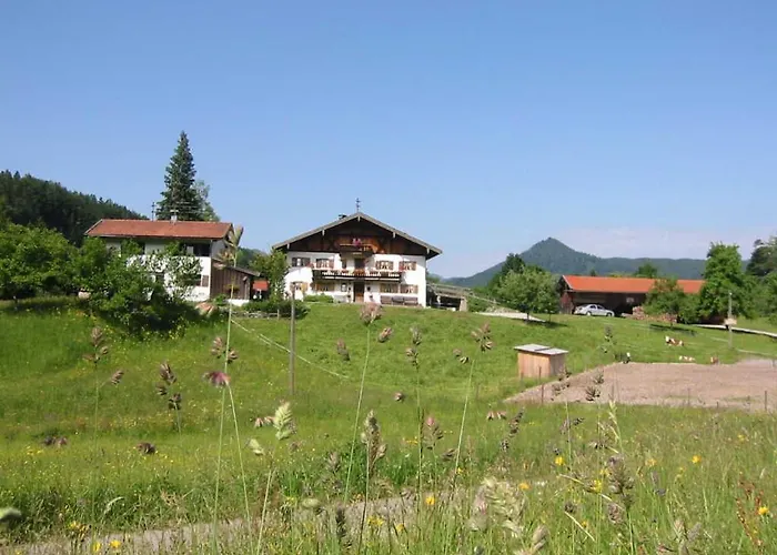 Апартаменты Greinhof *