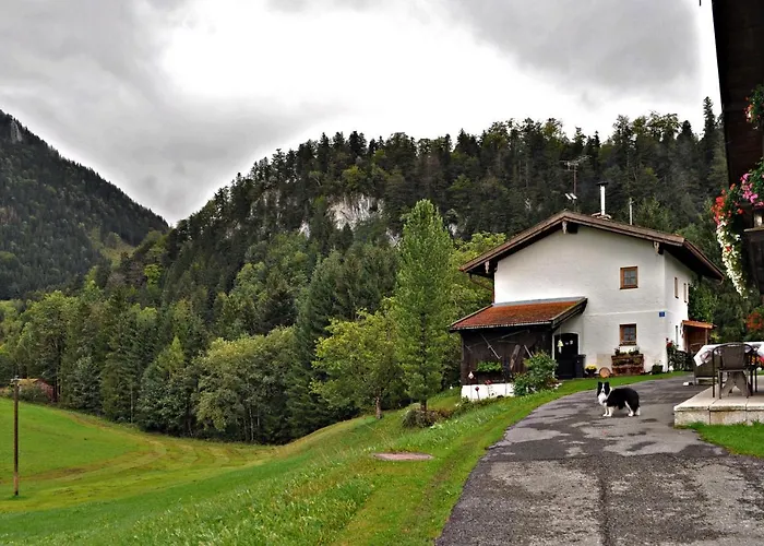 Greinhof Апартаменты *