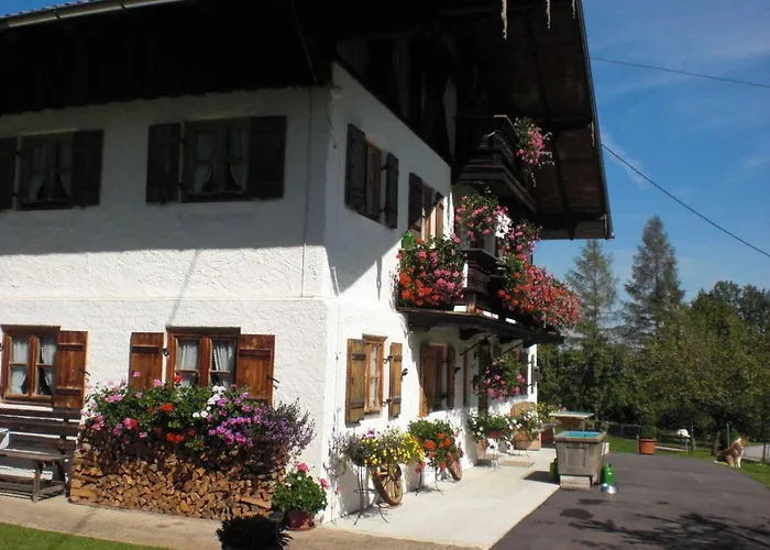 Greinhof Апартаменты *