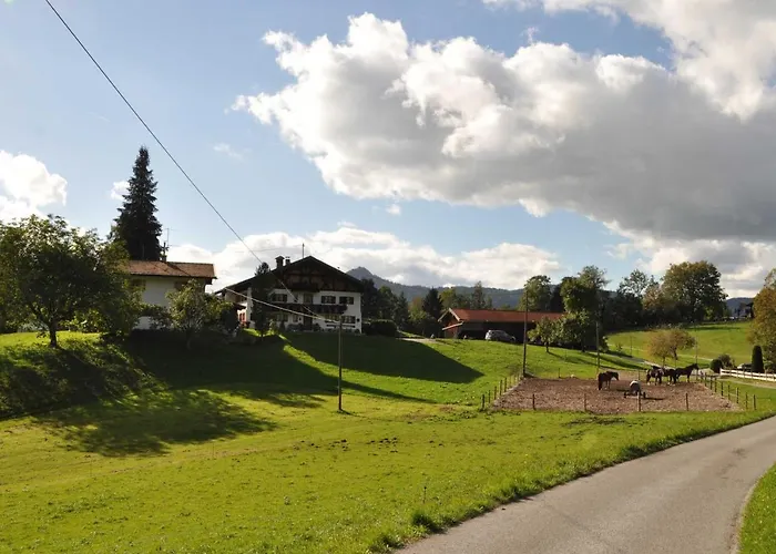Greinhof * Фишбахау