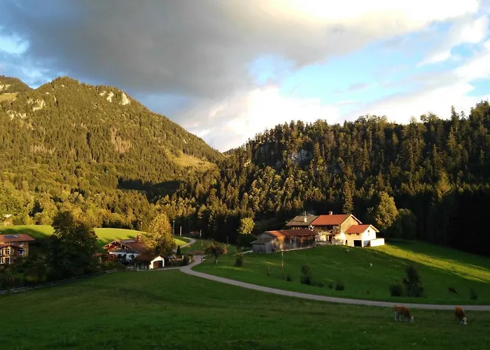 Greinhof * Фишбахау